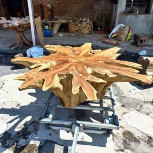 Teak root coffee table