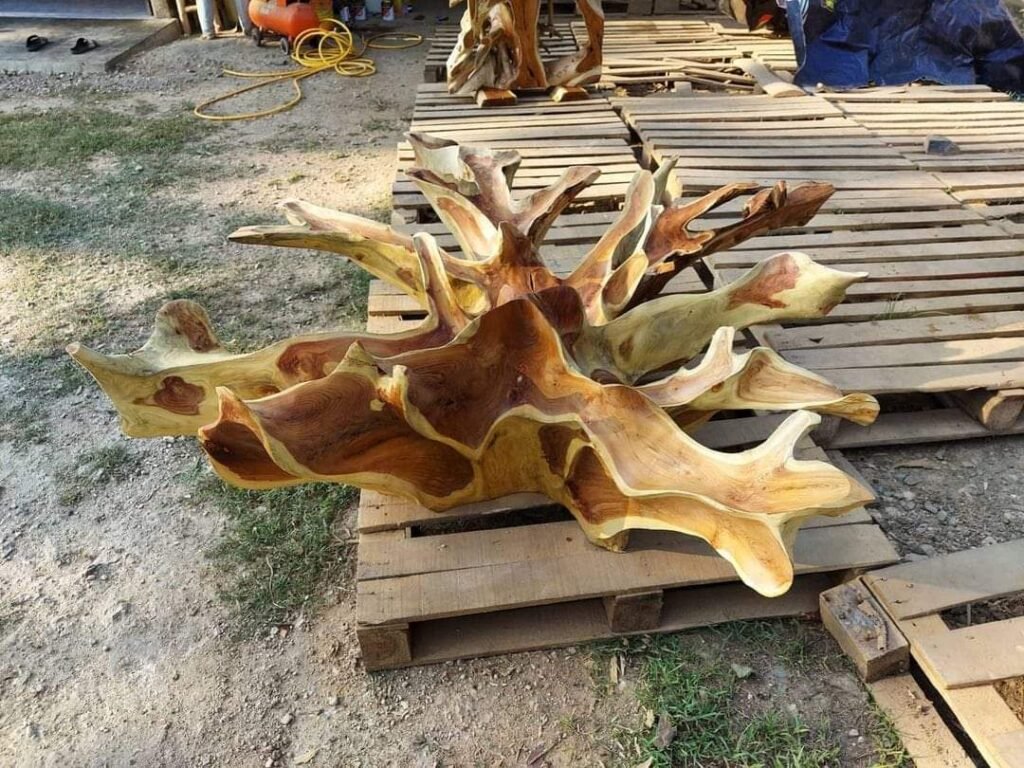 Teak root coffee table