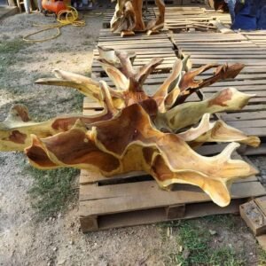 Teak root coffee table