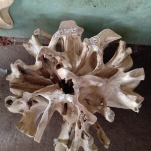 Teak root coffee table