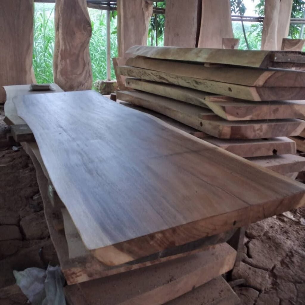 Long suar wood slab 500x110x8cm